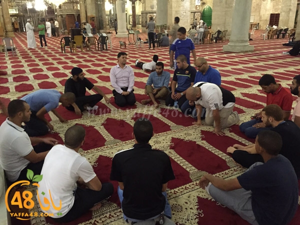 yaffa rebatt3 (10).jpg